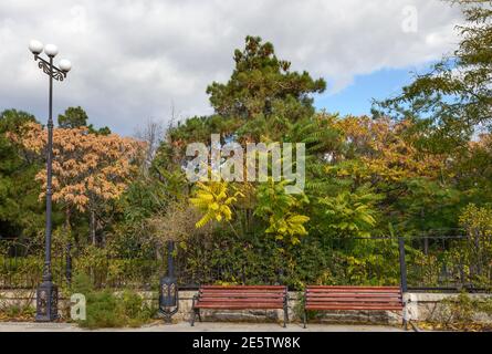 Bunte Herbstpflanzen hinter dem Zaun auf dem Damm in Sudak, Krim, Russland. Stockfoto