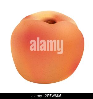 Realistische reife Pfirsich, ganz auf weißem Hintergrund. Juicy süße Frucht realistische 3d-Vektor-Illustration. Stock Vektor