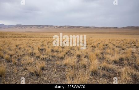 Landschaft im Südosten von Oregon an einem regnerischen Tag im Oktober. USA. Stockfoto