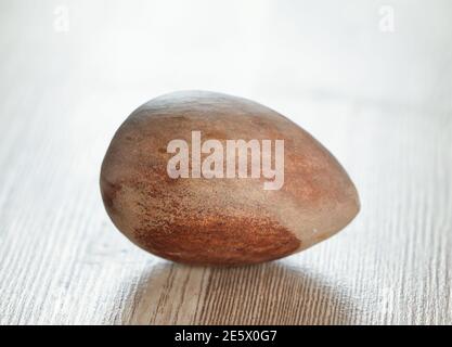 Eine runde braune Avocado-Grube auf Holzgrund. Makroaufnahme. Stockfoto