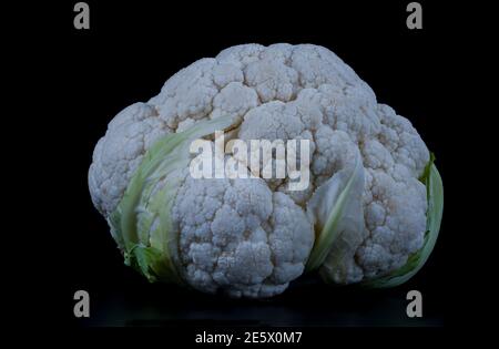 Blumenkohl isoliert auf schwarzem Hintergrund mit einem Kopierraum Stockfoto