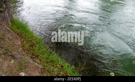 Fließendes Wasser Stockfoto