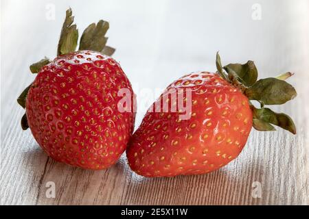 Ganze zwei Erdbeeren mit Blatt auf Holzgrund. Frische reife Erdbeeren isoliert. Gesunde Ernährung Ernährung Konzept. Fokus Stapeln. Stockfoto