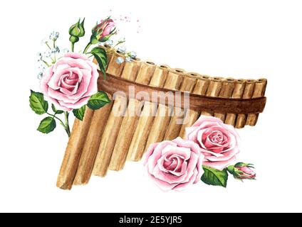 Holzpfannenflöte oder Panpipe, musikalische Blasinstrumente und Rosenblüten. Handgezeichnete Aquarellillustration isoliert auf weißem Hintergrund Stockfoto
