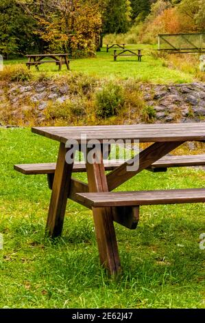 Holzpicknicktisch zwischen grünen Wiesen und Bäumen im Herbst Stockfoto