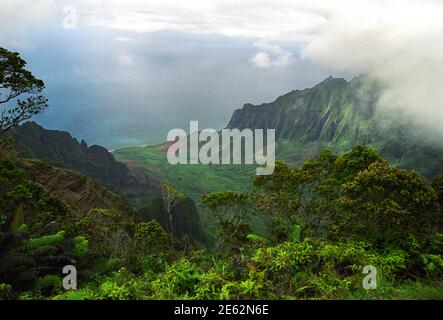 Kalalau Valley and Beach, Fog Coming in, Kalalau Lookout, Wiamea Canyon, Kauai, HI 030427 221 Stockfoto