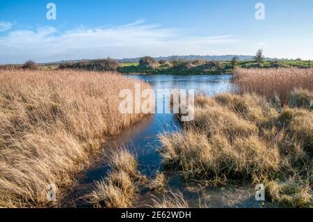 Snettisham Coastal Park und teilweise gefrorenen Heacham Hafen hinter dem Ostufer des Wash. Stockfoto