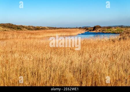 Snettisham Coastal Park und teilweise gefrorenen Heacham Hafen hinter dem Ostufer des Wash. Stockfoto