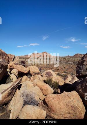 Riesige Granitfelsen und Felsbrocken konkurrieren mit Joshua Trees als landschaftliche Attraktionen im Joshua Tree National Park in Kalifornien. Stockfoto