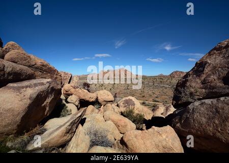 Riesige Granitfelsen und Felsbrocken konkurrieren mit Joshua Trees als landschaftliche Attraktionen im Joshua Tree National Park in Kalifornien. Stockfoto