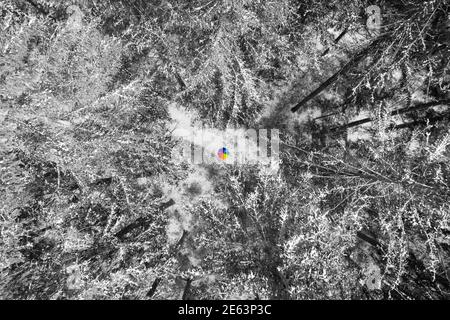Luftaufnahme von verschneiten Kiefern bei einem bunten Regenbogenschirm in der Mitte des Luftfotos als wunderbares Farbkontrast-Element. Stockfoto