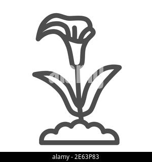 Calla Linie Symbol, Sommer Blumen Konzept, Lilie Lilie Zeichen auf weißem Hintergrund, Calla Blume Symbol in Outline-Stil für mobile Konzept und Web-Design Stock Vektor
