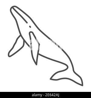 Whale dünne Linie Symbol, Ozean-Konzept, Orca Zeichen auf weißem Hintergrund, Pottwal Symbol in Umriss-Stil für mobile Konzept und Web-Design. Vektor Stock Vektor