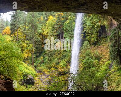 Wasserfall und Wald im Silver Falls State Park in der Nähe von Silverton, Oregon Stockfoto