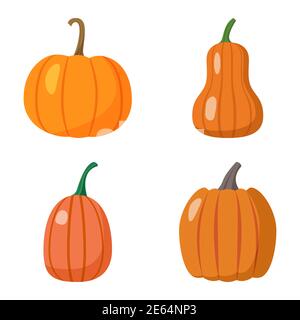 Satz von Kürbissen isoliert auf weißem Hintergrund Stock Vektor