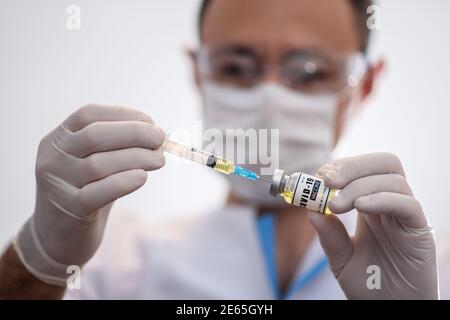 Der Arzt wählt den Coronavirus-Impfstoff in eine Spritze. Impfung gegen covid-19. Stockfoto