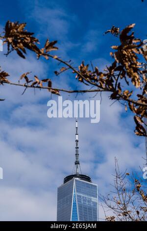 Blick auf die Spitze des Freedom Tower gegen einen blauen Himmel, mit Herbstblättern auf Ästen im Vordergrund Stockfoto