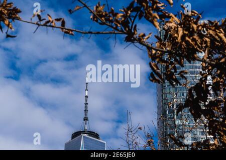 Blick auf die Spitze des Freedom Tower gegen einen blauen Himmel, mit Herbstblättern auf Ästen im Vordergrund Stockfoto