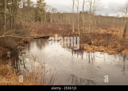 Dieser Bach liegt in North Hollis, New Hampshire. Sie gilt als eine der produktivsten Forellenquellen im Süden von New Hampshire. Wurde verwendet Stockfoto