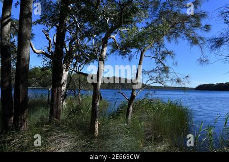 Ein Blick auf Myall Lake in NSW, Australien Stockfoto