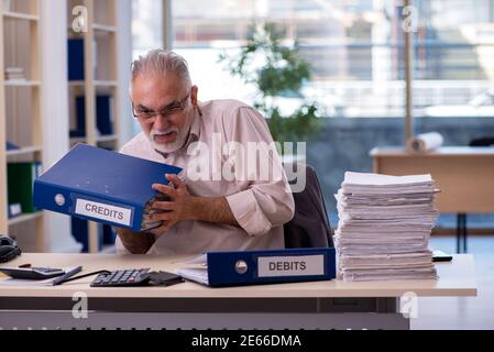 Erfahrener männlicher Buchhalter im Budgetplanungskonzept Stockfoto