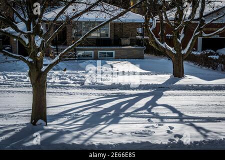 Ontario, Kanada, 2017 - Winterszene eines Wohnviertels mit schneebedeckten Häusern, Bäumen und Straßen nach einem Schneefall Stockfoto