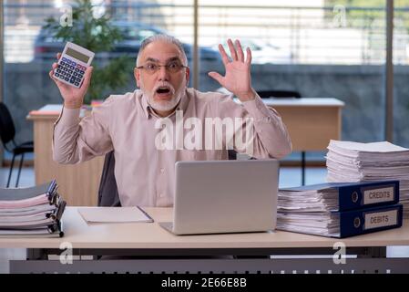 Erfahrener männlicher Buchhalter im Budgetplanungskonzept Stockfoto