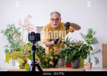 Alter männlicher Gärtner mit Pflanzen zu Hause Stockfoto