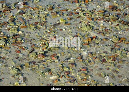 Bunte Felsen am Sandstrand am sonnigen Nachmittag Stockfoto