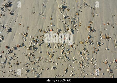 Gruppen von kleinen Felsen am Sandstrand in sonnig Tag Stockfoto
