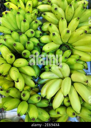 Gruppen von frischen grünen Bananen auf dem Stand zum Verkauf Auf dem Markt Stockfoto