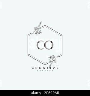 CO Beauty Vektor anfängliche Logo Kunst, Handschrift Logo der ursprünglichen Signatur, Hochzeit, Mode, jewerly, Boutique, floral und botanisch mit kreativen temp Stock Vektor