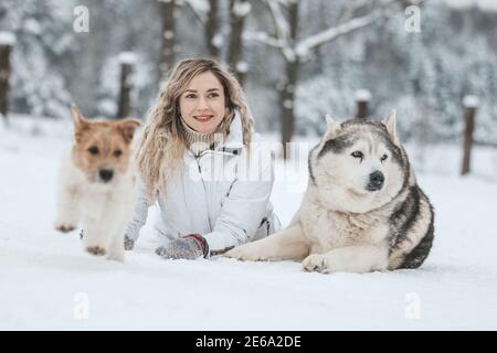 Das Mädchen reitet auf einem Schlitten auf einem Schlitten mit sibirischen Huskies im Winterwald. Haustier. Husky. Husky Art Poster, Husky Print, Stockfoto