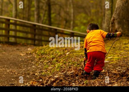 Ein Kleinkind mit orangefarbenem T-Shirt, roten Hosen und Winterstiefeln spielt mit Holzstöcken in einem Wald an einem Wanderweg. Es wird dunkel in Th Stockfoto