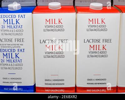 Eine halbe Gallone Kartons laktosefreie Milch auf dem Kühlregal. Dies ist ein spezielles Produkt für den Verzehr von Menschen, die Laktose-Intolerant aufgrund von en sind Stockfoto