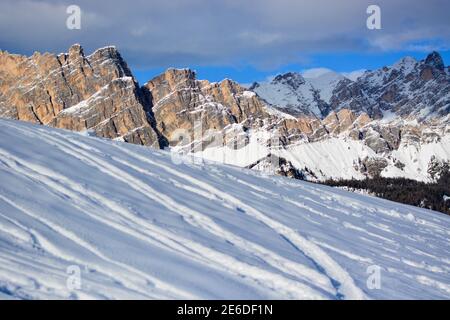 Off-Piste Skifahren auf Neuschnee vor dem Monte Cristallo In Cortina D'ampezzo Stockfoto