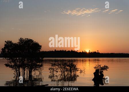 Sonnenuntergang mit Mangrovenbäumen auf Siargao Island, Surigao del Norte, Philippinen Stockfoto