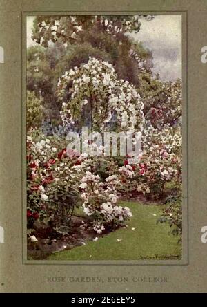 Beatrice Parsons Gemälde mit dem Titel der Rosengarten - Eton College Stockfoto