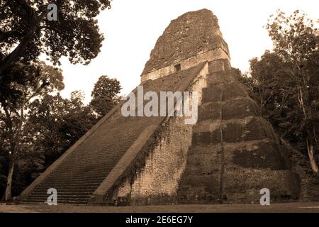 Maya-Tempel im Tikal National Park Stockfoto