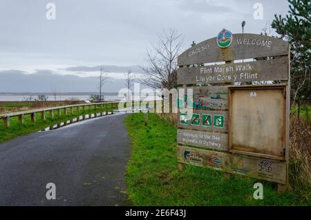 Flint; Großbritannien: 28. Jan 2021: Am Eingang des Flint Marsh Walk-Abschnitts des North Wales Coastal Path entlang des River Dee steht eine Tafel Stockfoto