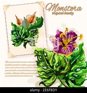 Exotische Monstera Pflanze opulent grüne Blätter mit Hibiskusblüte tropisch Schönheit Piktogramme Kollektion Design abstrakt Vektor Illustration Stock Vektor