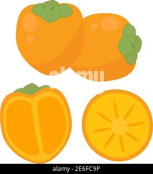 Satz von verschiedenen Ecken von Persimmon. Vektor leuchtend orange Früchte in verschiedenen Positionen auf einem weißen Hintergrund. Stock Vektor
