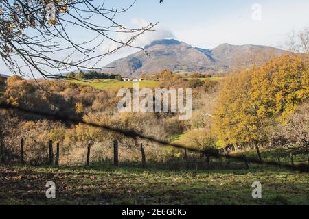 Der Abhang des Berges bedeckt mit Bäumen im Herbst. Herbstlandschaft Stockfoto