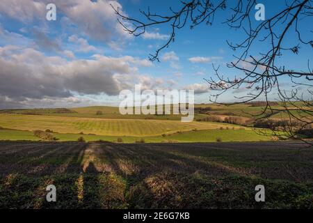 Ein Blick über die South Downs in Richtung Ditchling Beacon vom Stanmer Park bei Brighton, East Sussex, Großbritannien Stockfoto