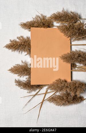 Flaches Lay mit Gruppe von natürlichen getrockneten Schilfblumen und leeren Kamel farbigen Papier Blatt auf weißem Leinen Hintergrund. Speicherplatz kopieren. Mochup mit organischer Flora Stockfoto