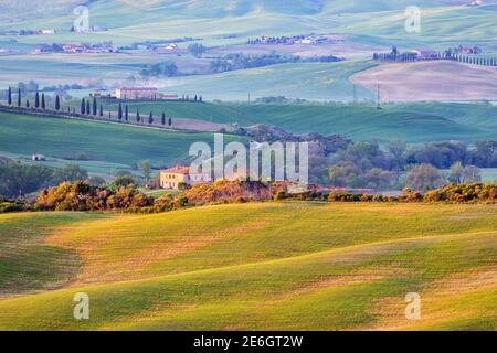 Sonnenbeschienenen Feld in der ländlichen toskanischen Landschaft Stockfoto