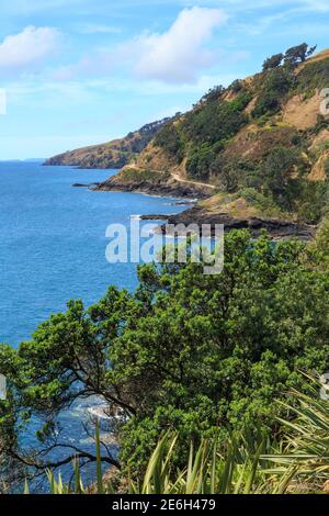 Malerische Küste an der abgelegenen Nordspitze der Coromandel Peninsula, Neuseeland. Die Port Jackson Straße kann gesehen werden gewunden um die felsigen Buchten Stockfoto