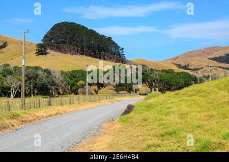 Eine Schotterstraße, die durch ein Ackerland im abgelegenen Norden der Coromandel-Halbinsel, Neuseeland, führt Stockfoto