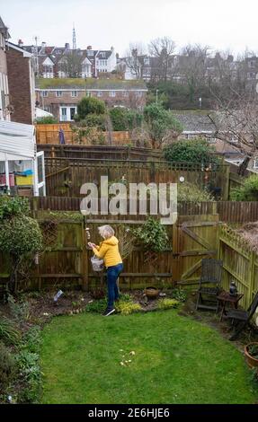 Brighton UK 29. Januar 2021 - Jennie Dack stellt etwas Essen aus, als sie an der Big Garden Birdwatch 2021 Umfrage des RSPB in ihrem Haus in Queens Park Brighton heute Morgen teilnimmt. Die jährliche Big Garden Birdwatch findet an diesem Wochenende vom 29. Bis 31. Januar für das größte britische Citizen Science-Projekt im Garten statt. : Credit Simon Dack / Alamy Live News Stockfoto