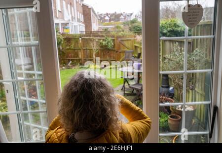 Brighton UK 29. Januar 2021 - Jennie Dack nimmt an der Big Garden Birdwatch 2021 Umfrage des RSPB in ihrem Haus in Queens Park Brighton Teil. Die jährliche Big Garden Birdwatch findet an diesem Wochenende vom 29. Bis 31. Januar für das größte britische Citizen Science-Projekt im Garten statt. : Credit Simon Dack / Alamy Live News Stockfoto